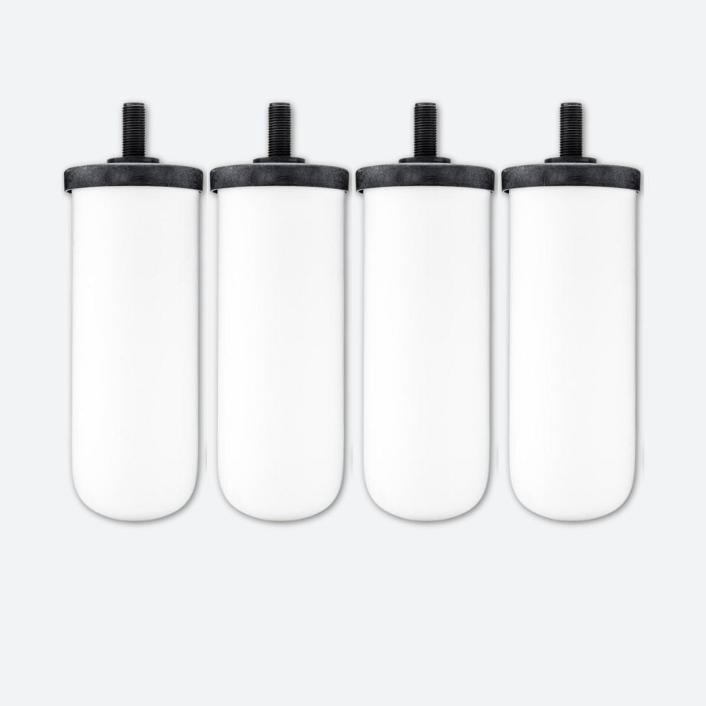 British Berkefeld Ultra Fluoride 8B76 cartouche céramique fluorure x1